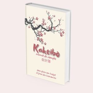 MON PLAN DE COMPTES KAKEIBOO: Agenda pour tenir son budget mois par mois