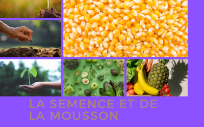 LA SEMENCE ET DE LA MOISSON (11-12) Pasteur Sosthène MABOUADI