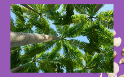 Épanouissement en tant que Mère Solo : La Résilience Après les Épreuves de la Vie »