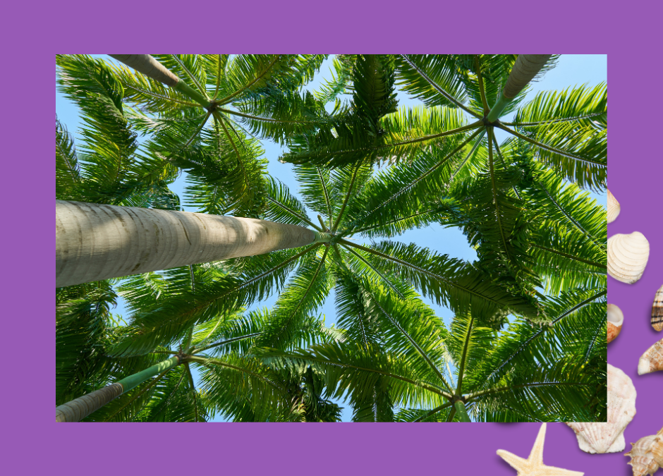 Épanouissement en tant que Mère Solo : La Résilience Après les Épreuves de la Vie »