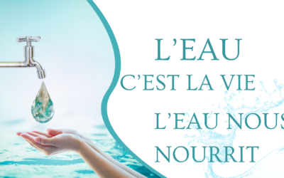 Renaissance Intérieure : Le Chemin de Guérison des Blessures du Cœur pour les Mamans Solos